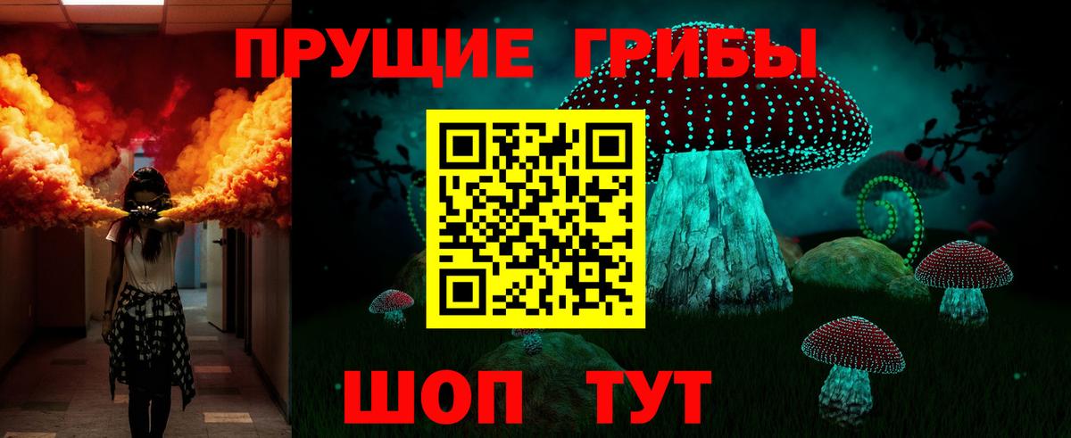 Псилоцибиновые грибы GOLDEN TEACHER  Псилоцибиновые грибы Cubensis  Тельмана  Вход с VPN 